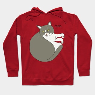 cat meh. Hoodie